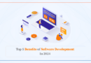 Top 5 Benefits of Software Development in 2024