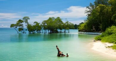 Daman Island