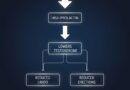 Prolactin and Male Libido